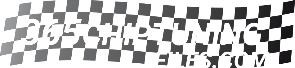 Logo for 365Chiptuningfiles.com, provider of high quality tuning files all over the globe.